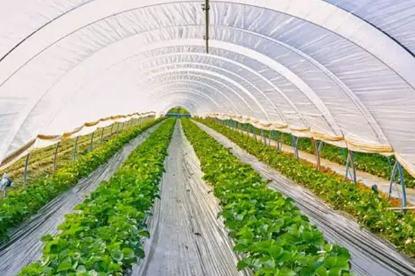 agri